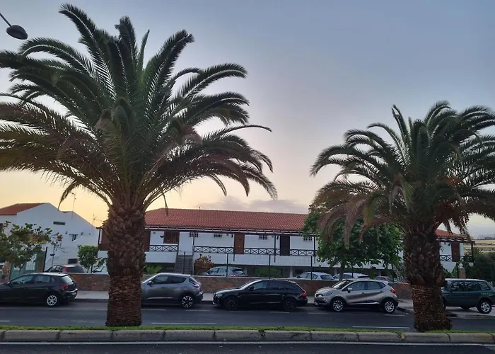 Apartamento Casa De Palmeras